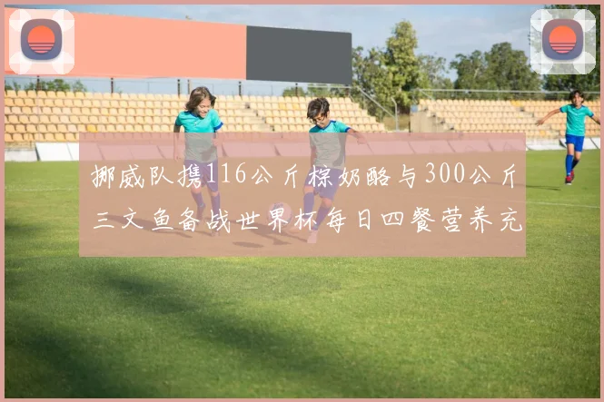 挪威队携116公斤棕奶酪与300公斤三文鱼备战世界杯每日四餐营养充足